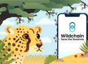 Wildchain image