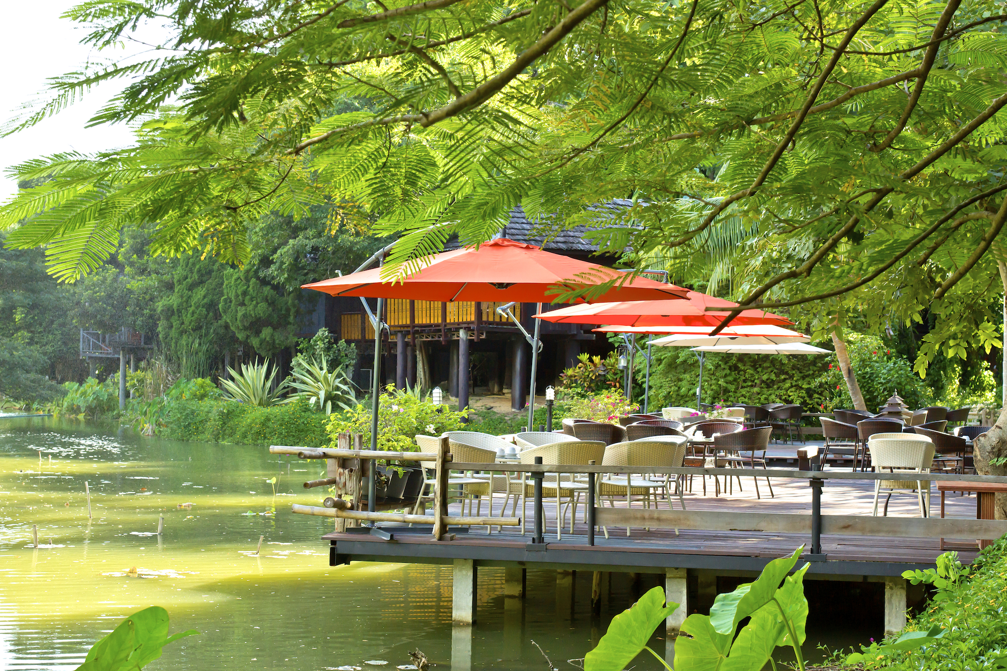 image slider 2