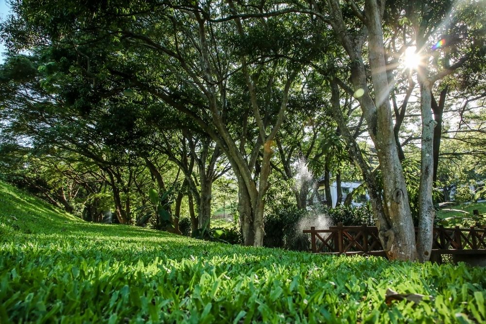 image slider 10