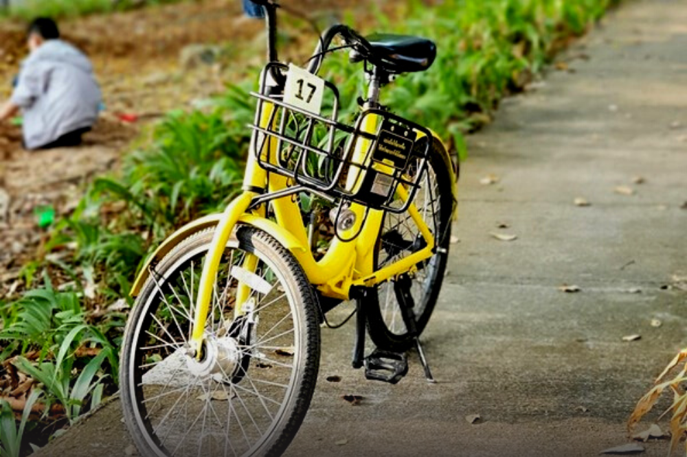 image slider 29