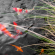 image slider 22
