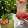 image slider 11